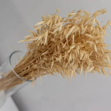 Gran Apto A 5 Min De Casco Viejo. Familias, Grupos Lejlighed