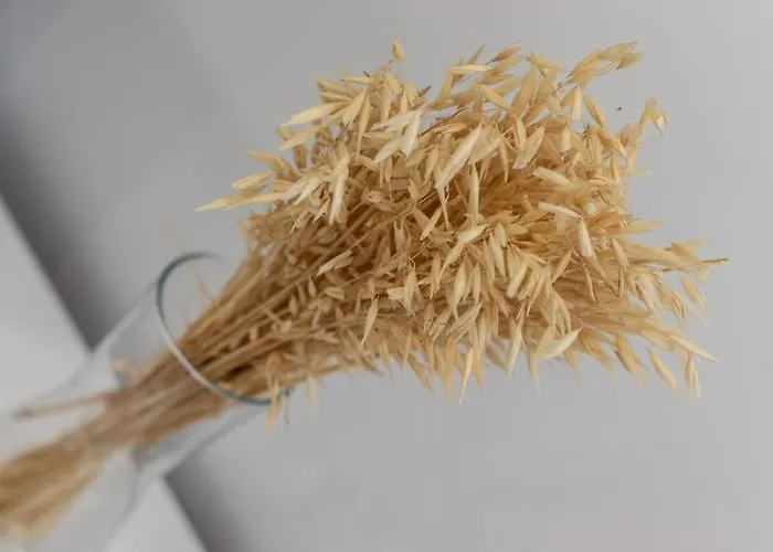 Gran Apto A 5 Min De Casco Viejo. Familias, Grupos Daire